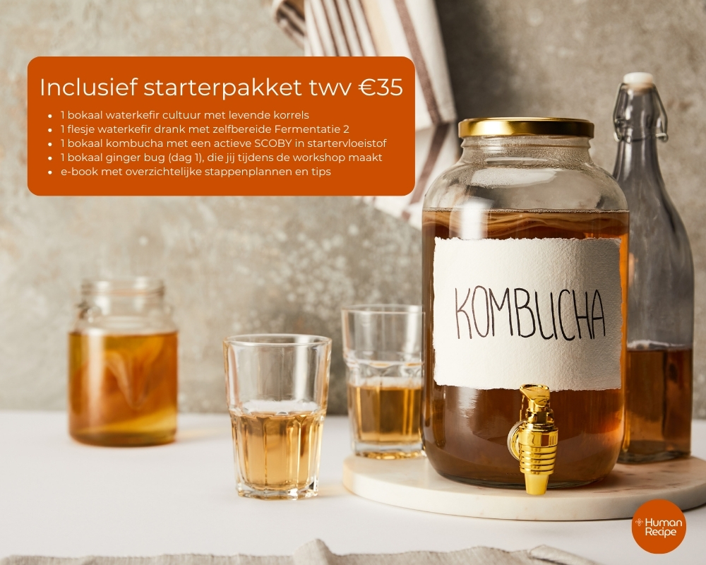 starterspakket-waterkefir-kombucha-en-ginger-bug